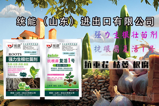 ��ɽ�|�y(t��ng)�ܡ�ףһ·�߁�(l��i)�����т�����������\(y��n)�o(w��)����