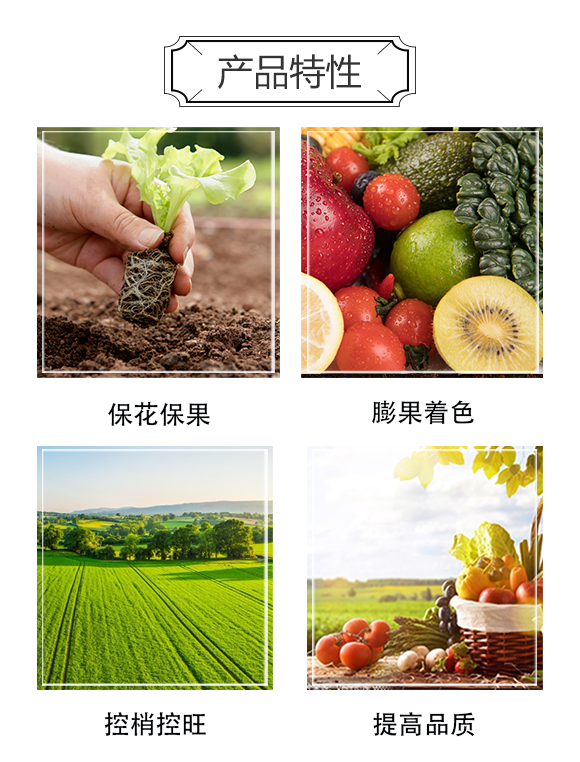 西班牙艾德拉股份有限公司1_04