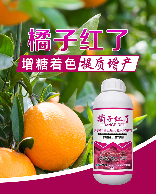 ���Ӽt��-�����r(n��ng)_01