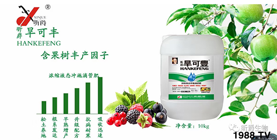 昕爵集團(tuán)78