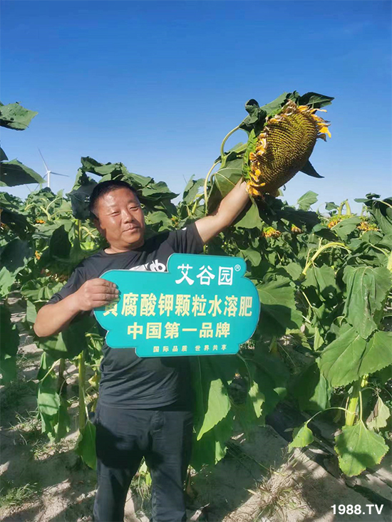 河北艾谷農(nóng)業(yè)科技有限公司1