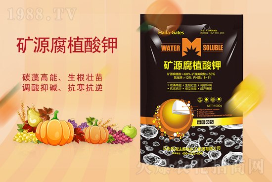 鉀肥價格能再漲嗎？2月19日各地鉀肥價格