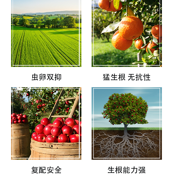 深圳市螢火蟲化學(xué)有限公司-單打獨斗_05