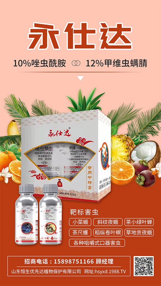 小菜蛾為何防治難？小菜蛾危害癥狀及防治措施！