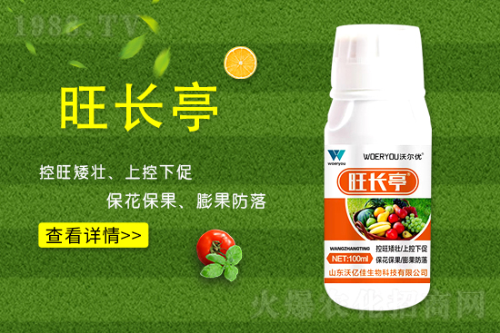 什么是黃瓜旺長(zhǎng)？黃瓜旺長(zhǎng)的防控措施