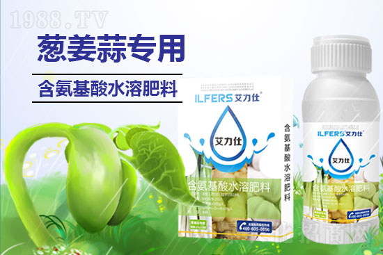 大蒜葉尖干枯如何防？解決大蒜葉尖怎么做？