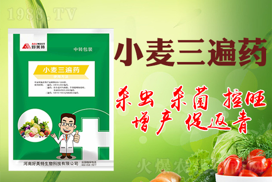 小麥巧打三遍藥抗病增產(chǎn)有奇效！小麥三遍藥什么時候打？