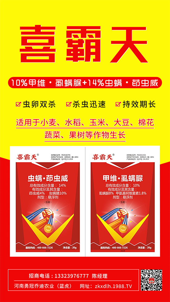 小菜蛾、菜青蟲危害重太難打?這樣用藥!一打一個準(zhǔn)!