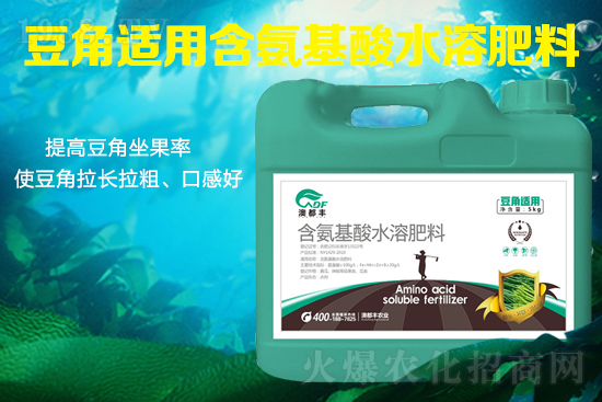 豆角需肥特性是什么？豆角怎么施肥才能提高產(chǎn)量？