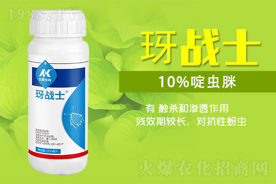 早春蚜蟲很容易大爆發(fā)，怎么避免黃瓜蚜蟲危害？