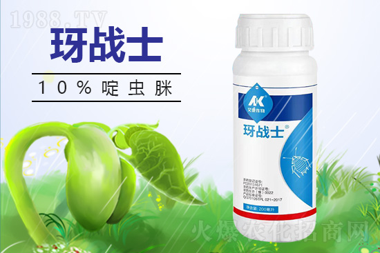 早春蚜蟲很容易大爆發(fā)，怎么避免黃瓜蚜蟲危害？