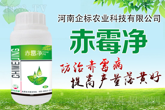 緊急提醒：未來十天是小麥赤霉病防治關(guān)鍵期！務(wù)必抓住！