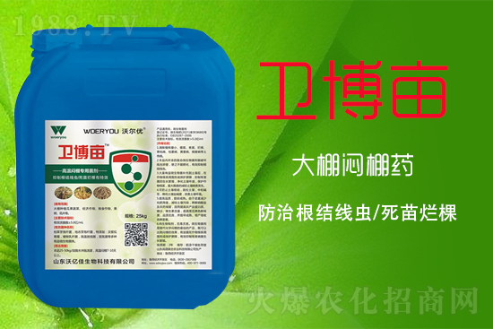 高溫悶棚指的是什么?為什么要高溫悶棚?