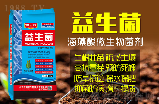 ɽ�|���������＼�g���޹�˾1