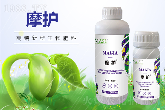 黃瓜苗期管理，需要注意哪些問題？