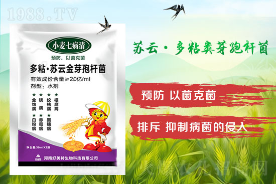 四月小麥赤霉病多發(fā),不要錯(cuò)過(guò)防治時(shí)間!