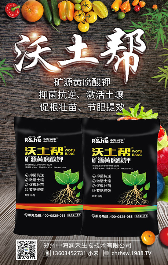 礦源黃腐酸鉀怎么用？放到地里幾天能看到效果？