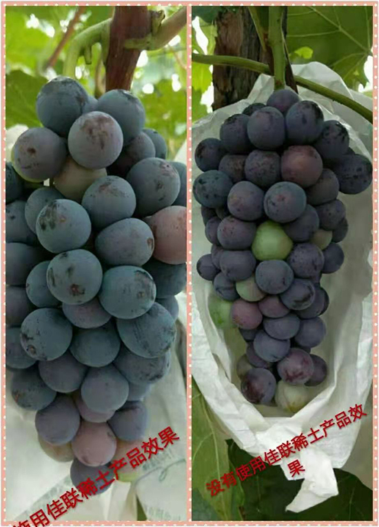 佳聯(lián)稀土產品