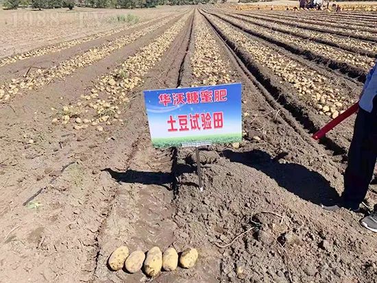     這款糖蜜肥農資圈瘋傳！原料天然，低成本高肥效開創(chuàng)者！