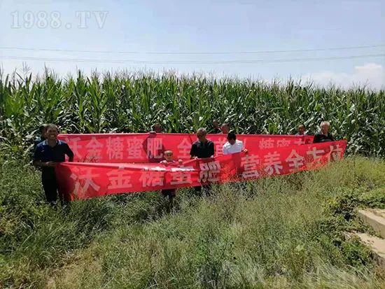    這款糖蜜肥農資圈瘋傳！原料天然，低成本高肥效開創(chuàng)者！