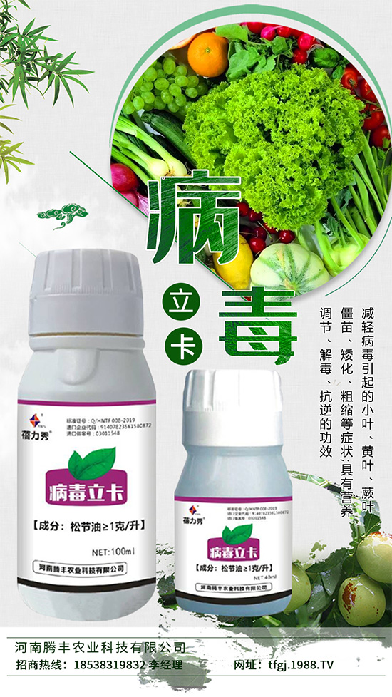     病毒病一種是由植物病毒寄生引起的病害。種類少、危害大，易得難治。在侵染蔬菜植株后會與蔬菜爭奪生長必需的養(yǎng)分，同時會影響植株的養(yǎng)分傳輸，抑制光合作用的進行