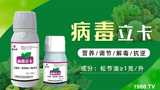 破解植物病毒防治難題！快速恢復(fù)生機！這個藥打上就管用！