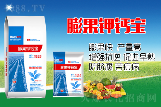 柑橘進入膨大期，如何提升“顏值”？這個方案值得擁有！