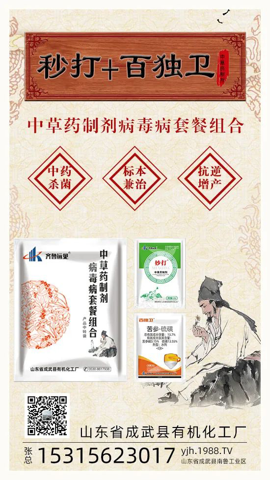 “植物癌癥-病毒病”被攻克了！純中草藥“殺菌霸主”