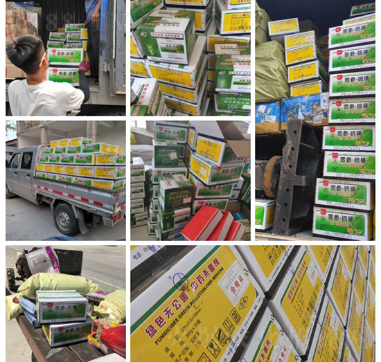 “植物癌癥-病毒病”被攻克了！純中草藥“殺菌霸主”