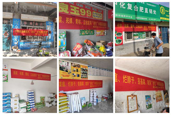 “植物癌癥-病毒病”被攻克了！純中草藥“殺菌霸主”