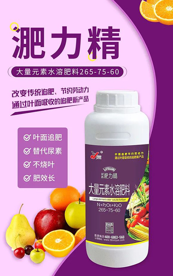 玉米追肥復(fù)合肥好還是尿素好？很多人都錯了！它才是正確選擇