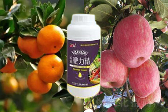 玉米追肥復(fù)合肥好還是尿素好？很多人都錯了！它才是正確選擇