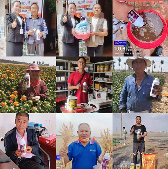 玉米追肥復(fù)合肥好還是尿素好？很多人都錯了！它才是正確選擇