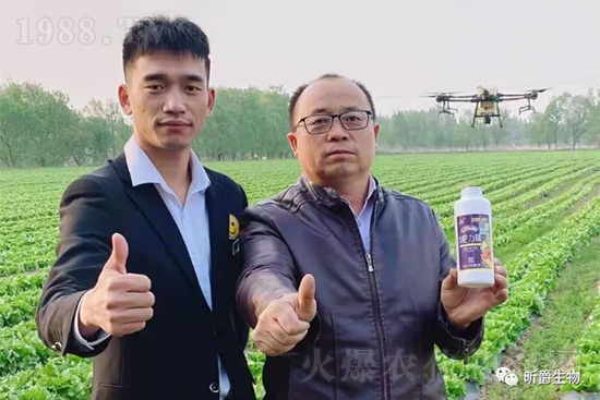 玉米追肥復(fù)合肥好還是尿素好？很多人都錯了！它才是正確選擇