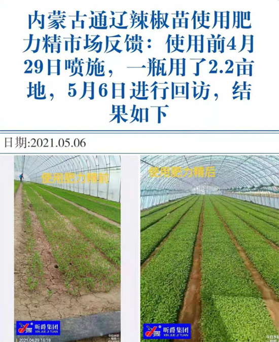 玉米追肥復(fù)合肥好還是尿素好？很多人都錯了！它才是正確選擇