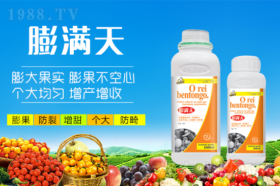 果實轉色膨果“新武器”！膨大防裂賣價高！提前上市7-12天！