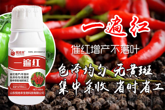 辣椒為什么要增紅？辣椒增紅上色哪個(gè)牌子好？