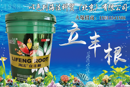 海藻肥生根效果怎么樣?比傳統(tǒng)肥料好在哪