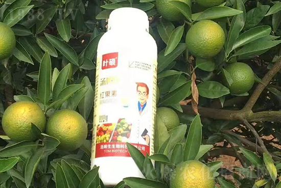 �t���ء�ֻ���D(zhu��n)ɫ�������D(zhu��n)ɫ�����ߣ��߼t���ó���