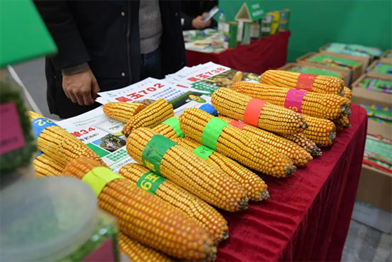 �����I�N�I(y��)���[��2