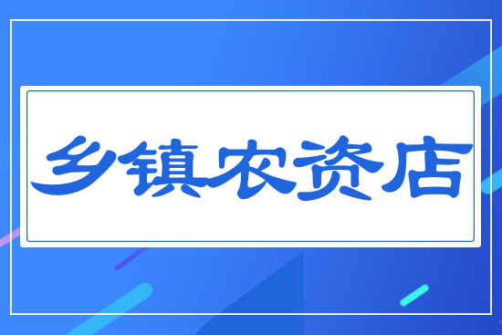 鄉(xiāng)鎮(zhèn)農(nóng)資店
