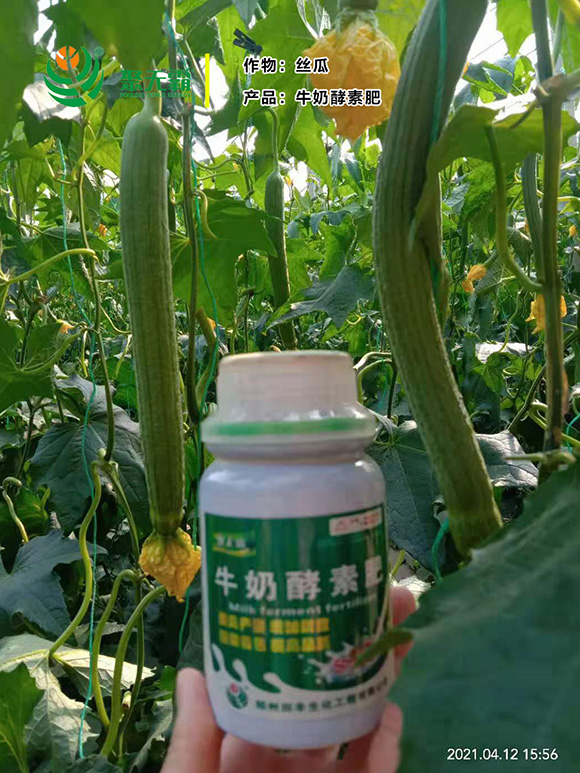 ţ�̽��ط�-�۟o��5