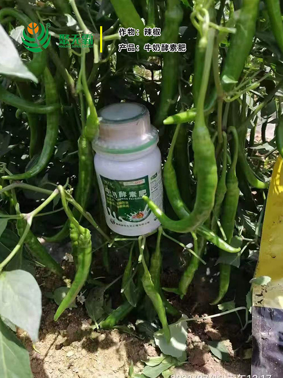 ţ�̽��ط�-�۟o��3