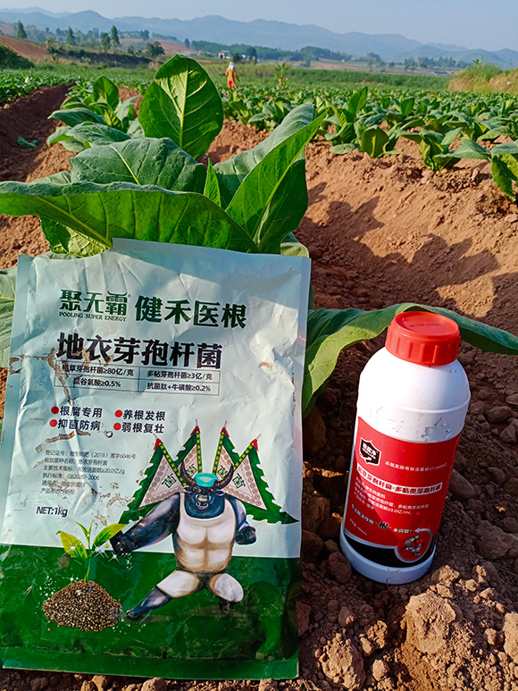 �����t(y��)������ѿ�ߗU��-�۟o��2