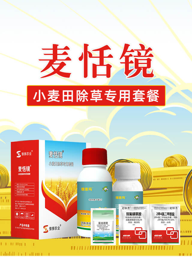 �����R-�S�՘�(l��)_01