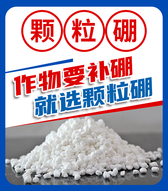 山東金潤梓生物科技有限公司-手機(jī)站(高清）