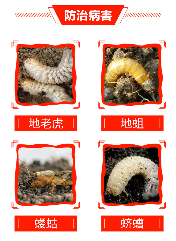 帥方-加號(hào)農(nóng)業(yè)_04