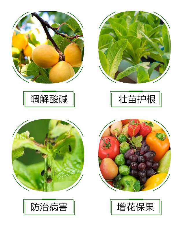 豆粕生物有機菌肥-鴻源生物_04