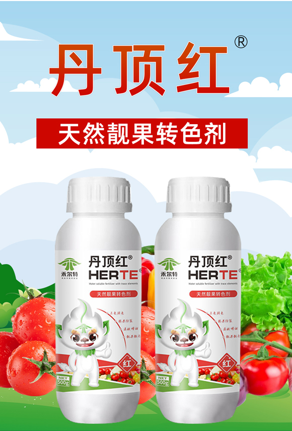 ��피t-�̠���_01