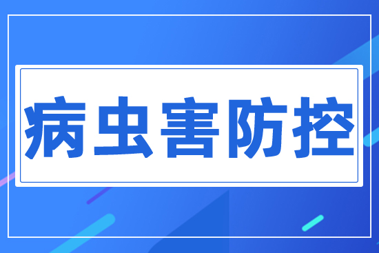 病蟲害防控